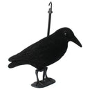 Garden Flocked Hard Plastic jet black Crow Decoy Hunting Stand Body Feet St