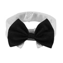 British Black Kitten Tie Handsome Dog Puppy Necktie Pet Festival Decor (L)