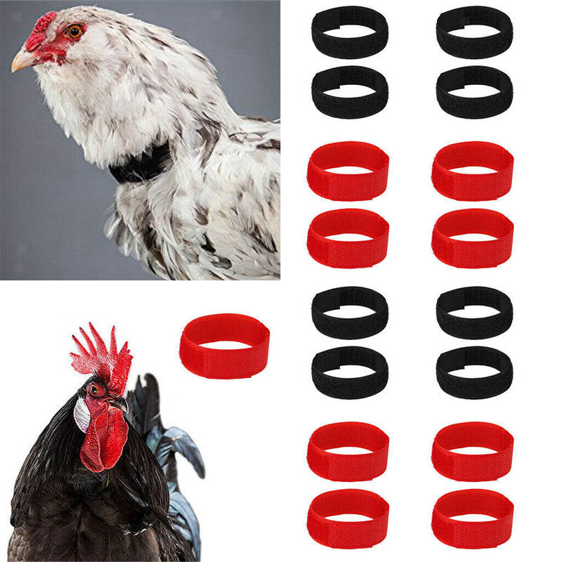 16-pack Chicken Collar Anti Crow Rooster Collar For Poultry Chicken Duck