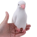 Surprise Stage Magic Tricks Simulation Lifelike Pigeons Magic Tricks Props T FT