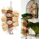 Pet Parrot Conure Cockatiel Parakeet Budgie Bird Chew Bites Swing Cages Toys