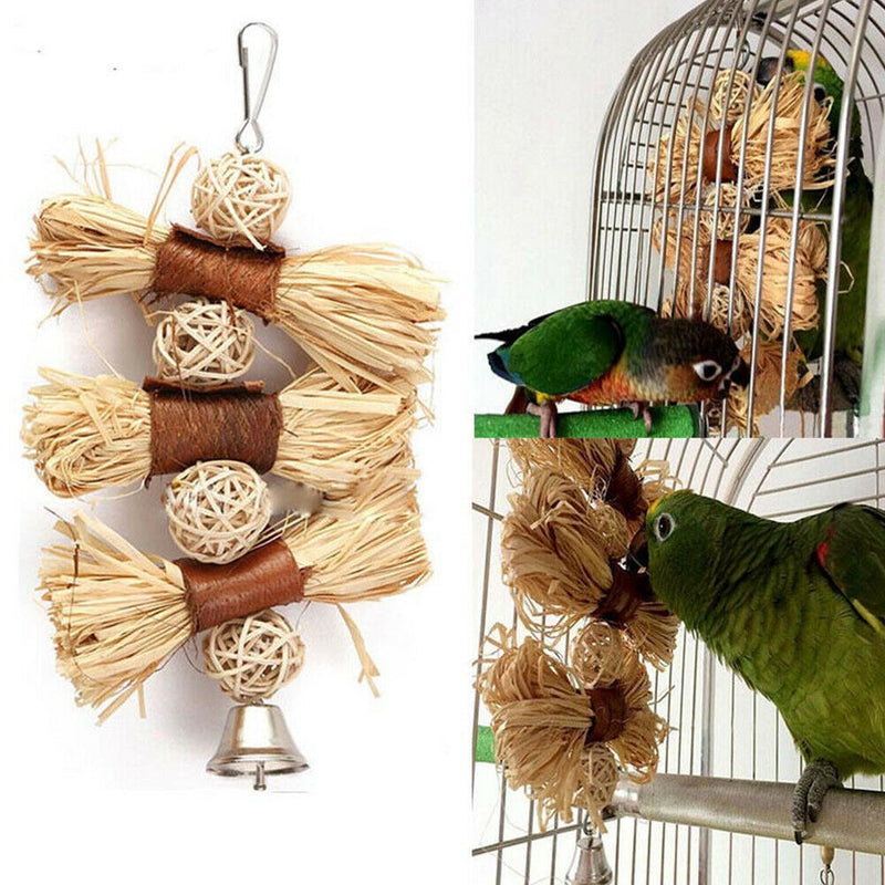 Pet Parrot Conure Cockatiel Parakeet Budgie Bird Chew Bites Swing Cages Toys
