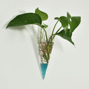 6 x Clear Cone Glass Wall Hanging Flower Vase Plant Bottle Home Decor