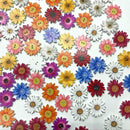 50pcs Wooden Chrysanthemums Sewing Buttons DIY Scrapbooking Clothes Decor