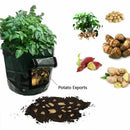 Potato Grow Bags 7 Gallon Garden Vegetables Planter Bags with Handles and A