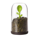 1X Jar Salt Shaker Spices Tea Leaves Coffee Sugar Storage Container with Spoon