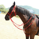 Bridle + Reins of Equestrian Sport Mounted for Horse