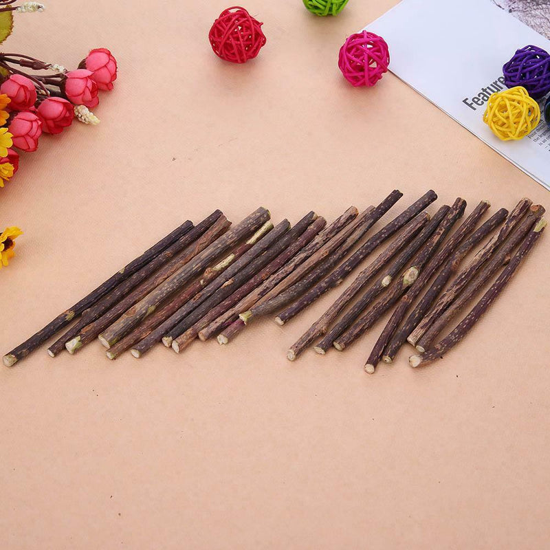 20pcs Natural Fruit Matatabi Cat Snack Sticks Toothpaste Rod Cleaning Teeth Tool