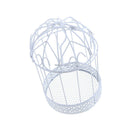 13cm Iron Frame Birdcage Shape Succulent Pot Metal Planter Iron Box Romantic,