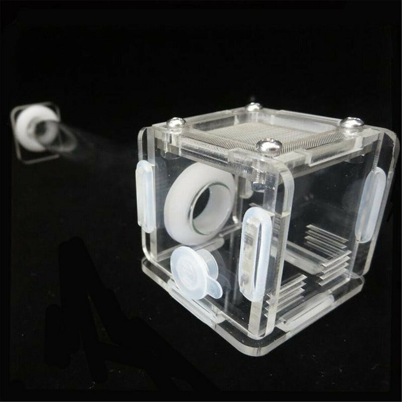 Mini Glass Tube Nest Housing Ant Farm Formicarium With Feeding For Ant Colony