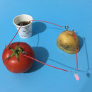 1 Set Children Bio Energy Science Kit Fruit Supply Electricity Experiments ME