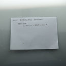 Gentle Fur Brushing for Cat Kitten Playing And Scratching