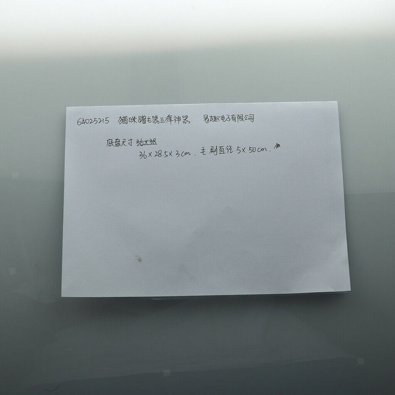 Gentle Fur Brushing for Cat Kitten Playing And Scratching