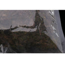 Reptile Supplies Natural Green Moss Controls Tropical and Wetland Humidity