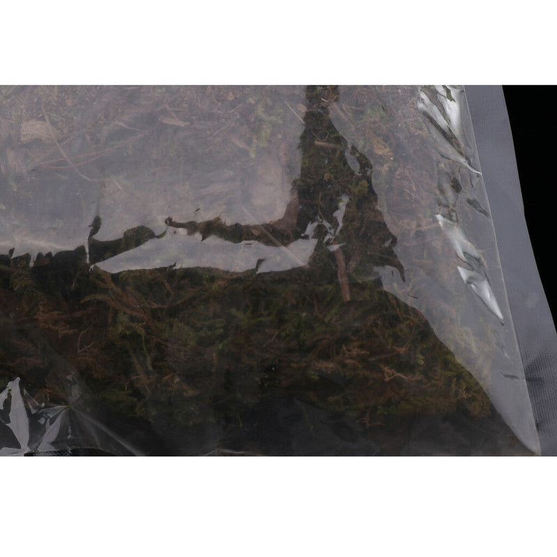 Reptile Supplies Natural Green Moss Controls Tropical and Wetland Humidity