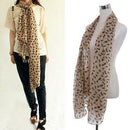 Cat Print Scarf Celebrity Fashion Shawl Scarves WRAP Ladies Animal New Soft