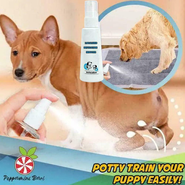 Dog Potty Training Aid Puppy Cat Pet Toilet Training Spray Practical N1B9