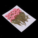 100pcs Natural Pressed Dried Flower for Wedding Party Home Holiday Decors