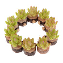 10 Pieces 1/12 Scale Decorative Artificial Succulent Cactus Plants with Wood