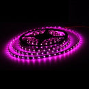 5M 3528 SMD 300 Pink LED Flexible Strip Light Car Auto Home Bar 12V