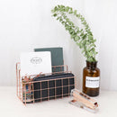 Desktop Mail Organizer, 3-Slot Metal Wire Mail Sorter, Letter Organizer for B2C1