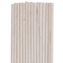 300Pcs Tampons Permanent Makeup Cotton Ear Cleaning Makeup Stick Pointed SwabsOZ