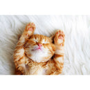 1000pcs DIY Lie Sleeping Cat Puzzle Assembling Jigsaw Toys for Living Room