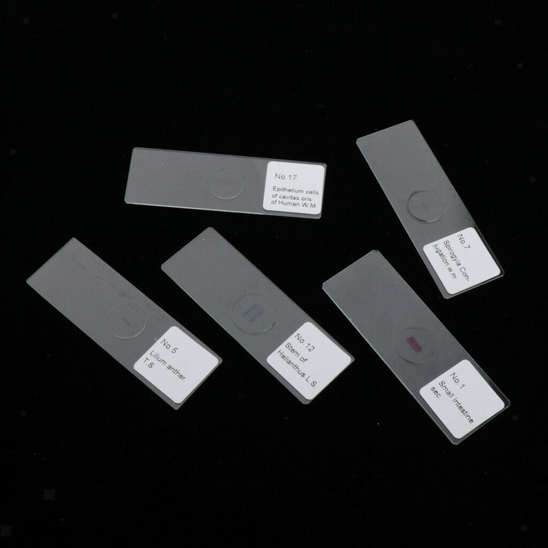 25PCS Children Glass Prepared Slides for Microscope of Insects Sample Specimens,