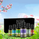 Essential Oil Set,100% Pure Aromatherapy Essential Oil Gift Set for Diffuse