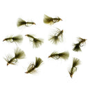 10x Bead Head Nymph Flies Woolly Buggers Sinking Wet Fly Fishing Flies Olive for