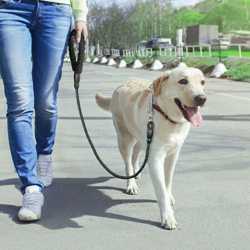 Dog Leash Reflective Comfort pet Lead spring Explosion-proof Round Rope Nyl N3K3