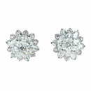Female Snowflake Stud Earring Jewelry AAA Zircon Double Earrings For Women H1Z6
