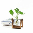 5X(Creative vase plant glass hydroponic container farm decorative flowerpo Q1T7)