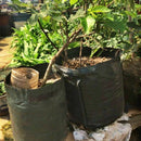 Potato Planting PE Bags Cultivation Garden Pots Planters Vegetable Planting