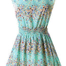 Lady's Sleeveless O-neck Flower Printed Casual Mini Dress--The bottom of th B9Q8