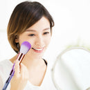 12pcs Pro Makeup Brushes Set Eye Shadow Foundation Powder Lip Make Up Brushes