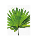 Unframed Modern Art Canvas Oil Painting Palmetto Leaf Print Wall Decor L