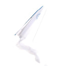 1PC DIY Painting Kite Foldable Outdoor DIY Blank Butterfly Kite Kids Sport To ME