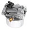 799868 Carburetor for Briggs & Stratton 498170 799872 694202 498966 14111 4 R6Z5