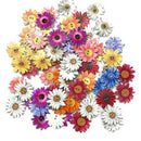 50pcs Wooden Buttons Sewing 2-holes Scrapbooking Button Crafts Flower Shape DIY
