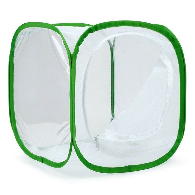 Insect and Butterfly Habitat Cage Terrarium Pop-up 12 x 12 x 12 Inches (Whi M5L5