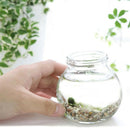 1pc Green Seaweed Ball Moss Live Aquarium Plant Fish Decoration Pet Supplie Nice