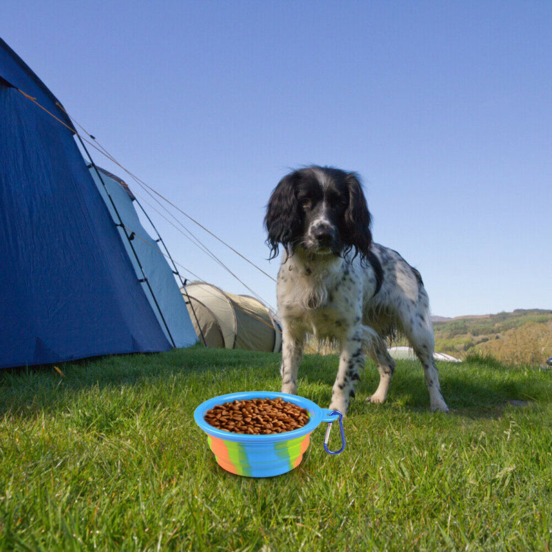 Dog Silicone Bowl Folding Outdoor Portable Pet Food Feeder Dish (Blue) A