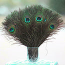 10pcs Natural Peacock Tail Eyes Feathers Wedding Festival Decor Party 25-30 T7E4