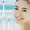 Waterproof Portable Electric Toothbrush AA Battery Brush with 2 Brush Heads