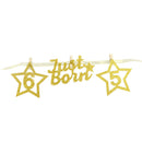 baby growth record 1-12 mouth photo ribbon banner for 1st birthday party   O Gw