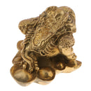 3 Legged Feng Shui Fortune Wealth Chinese Toad Coin Ornaments Lucky Gifts S