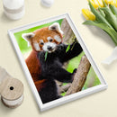 5D DIY Full Round Drill Diamond Painting Climbing Koala Cross Stitch Decor A