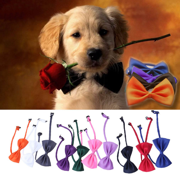 10x Pet Puppy Kitten Dog Cat Adjustable Neck Collar Necktie Groom Suit Bow Tie