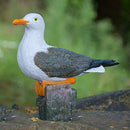 Creative Art Decor Seagull Bird Statue for Nautical Themed Room Ornament